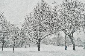 Heavy Snow Falling In Toronto, Canada