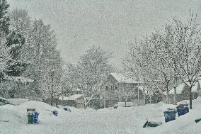 Heavy Snow Falling In Toronto, Canada