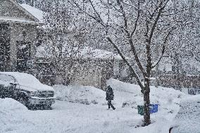 Heavy Snow Falling In Toronto, Canada