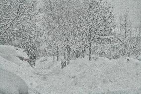 Heavy Snow Falling In Toronto, Canada