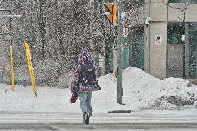 Heavy Snow Falling In Toronto, Canada