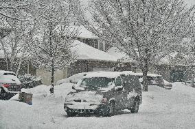 Heavy Snow Falling In Toronto, Canada