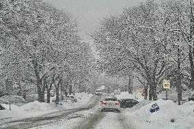 Heavy Snow Falling In Toronto, Canada