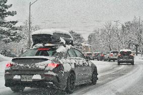 Heavy Snow Falling In Toronto, Canada
