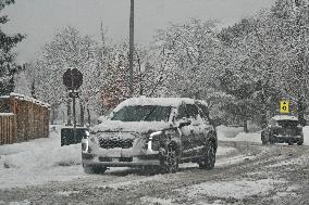 Heavy Snow Falling In Toronto, Canada