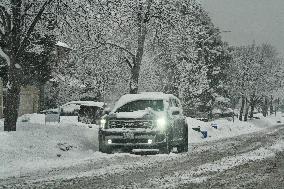 Heavy Snow Falling In Toronto, Canada