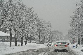 Heavy Snow Falling In Toronto, Canada