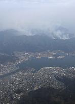 Forest fire in northeastern Japan