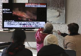 Forest fire in northeastern Japan