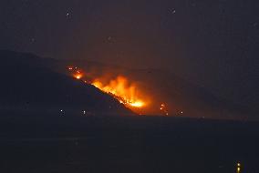 Forest fire continues in northeastern Japan