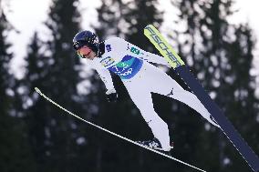Skiing: Nordic World Ski Championships