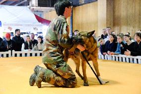 Agricultural Fair - Paris