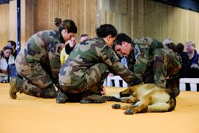 Agricultural Fair - Paris