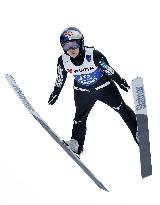Skiing: Nordic World Ski Championships