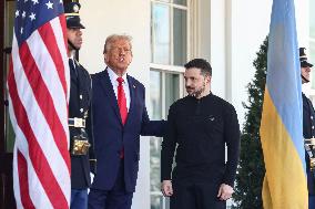 Trump Welcomes Zelensky - Washington