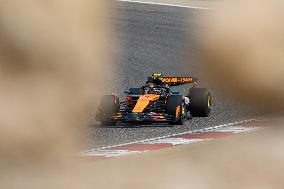 Formula 1 Testing in Bahrain - Day 3
