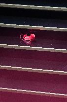 50th Cesar - Ceremony