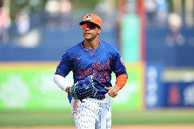 Spring Training: Nationals Vs. Mets