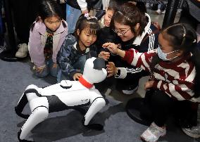 AI Intelligent Robot Science Exhibition in Suzhou