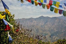 Daily Life In Mussoorie