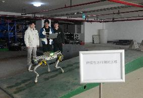 DEEP Robotics - China