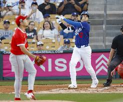 Baseball: MLB spring training
