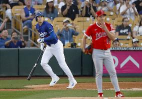Baseball: MLB spring training