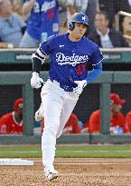 Baseball: MLB spring training