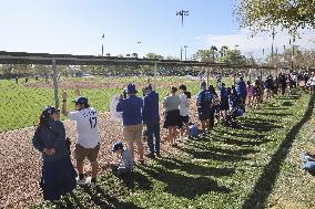 Baseball: MLB spring training