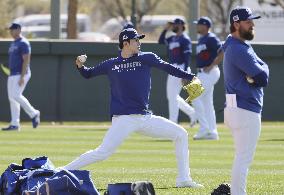Baseball: MLB spring training