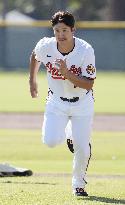 Baseball: MLB spring training