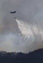 Forest fire in northeastern Japan