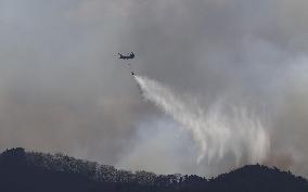 Forest fire in northeastern Japan