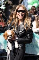 MFW - Arani’s Arrivals