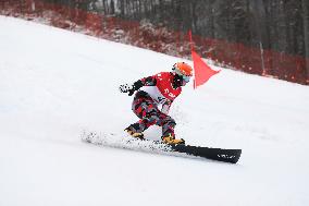 FIS Snowboard World Cup In Krynica-Zdroj