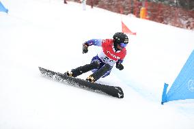 FIS Snowboard World Cup In Krynica-Zdroj