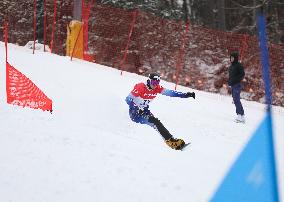 FIS Snowboard World Cup In Krynica-Zdroj