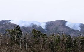 Forest fire in northeastern Japan