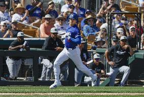 Baseball: MLB spring training