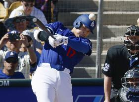 Baseball: MLB spring training