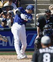 Baseball: MLB spring training