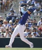 Baseball: MLB spring training