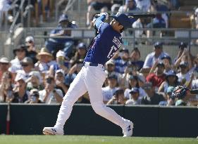 Baseball: MLB spring training