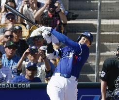 Baseball: MLB spring training