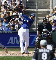 Baseball: MLB spring training