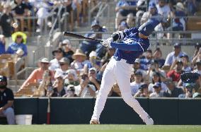 Baseball: MLB spring training