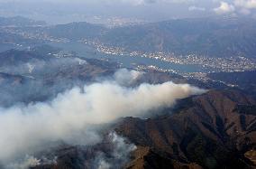 Forest fire in northeastern Japan