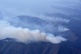 Forest fire in northeastern Japan