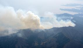 Forest fire in northeastern Japan