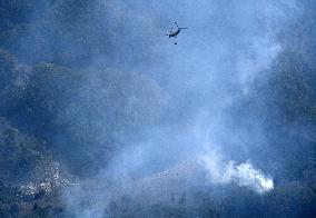 Forest fire in northeastern Japan